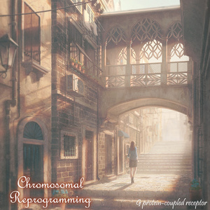 Optical Interference