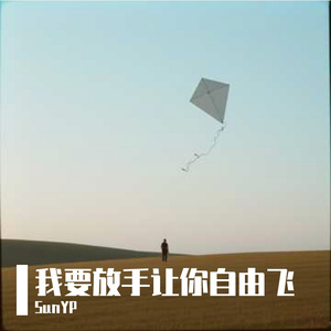 我要放手让你自由飞