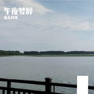 WAV文件_午夜梦醉_25958829593539588_1753801290052 伴奏