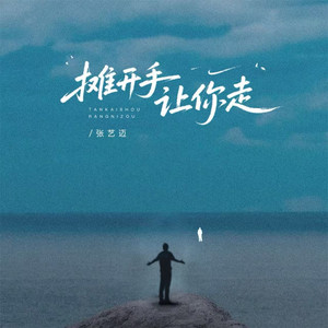 摊开手让你走 (DJ版)