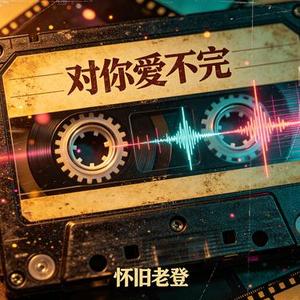 对你爱不完 赛博朋克女声版 (怀旧老登 Remix)