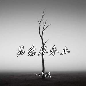 思念从未止