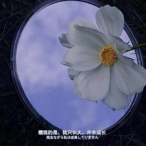 想带你去最遥远的屿