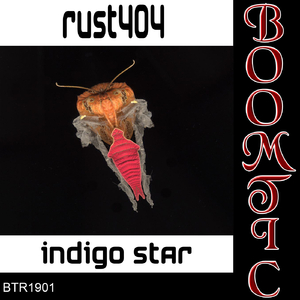 Indigo Star (Original Mix)