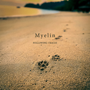 Following Traces