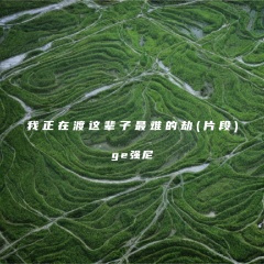 我正在渡这辈子最难的劫 (片段)