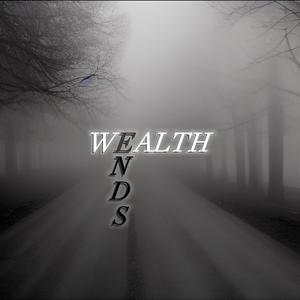 Wealth