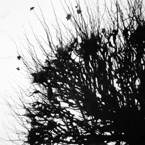 Вот погляди, вот посмотри