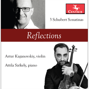 Violin Sonata No. 1 in D Major, D. 384:I. Allegro molto