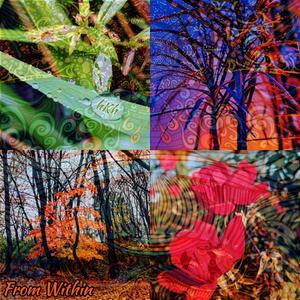 Are You Happy or Right?