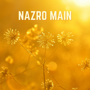Nazro Main