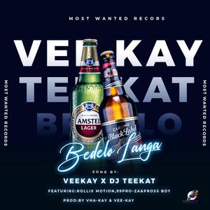 Bodelo Langa (feat. DJ TEEKAT, Rollixmotion, 99Pro & Prossboy)