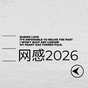 “网感2026”——非主流 x 网络 x vocal chops type beat