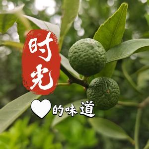 时光的味道_安若