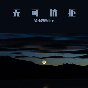 Sound Of Believer-believer+爱情买卖（二胡版）（吴所畏惧dcx remix）