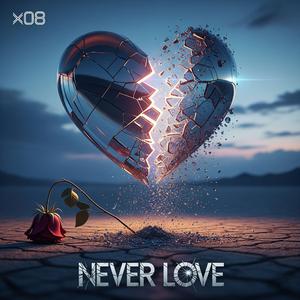 Never Love