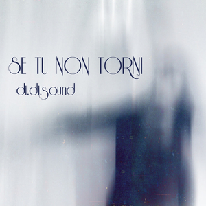 Se tu non torni