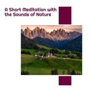 Morning Sea Waves Motion