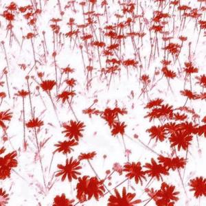 灰色头像（prod.Noria）