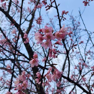 保持安全距离的默契