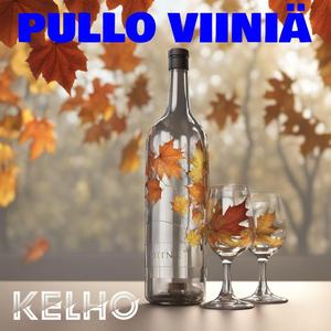 Pullo Viiniä