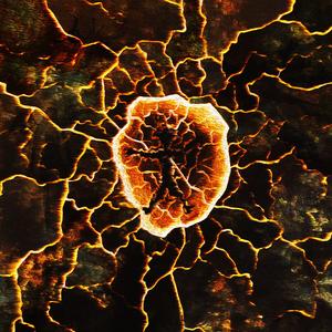 FINALEMENT (feat. Eloa)