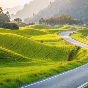 便秘是大肠的挽留_-1