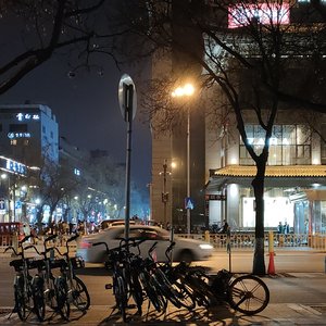 爱的回归线(翻唱)
