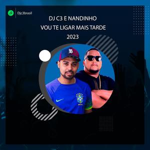 Vou Te Ligar Mais Tarde (feat. Mc Nandinho)