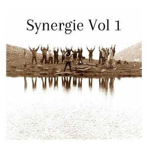 Synergie