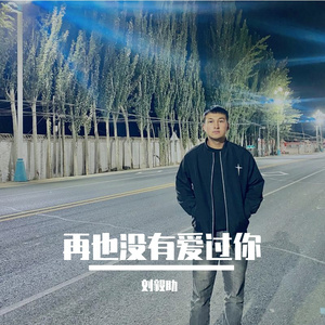 再也没有爱过你