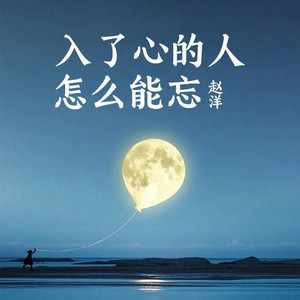 入了心的人怎么能忘 (DJ豪大大版)