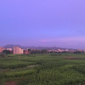 明确拒绝
