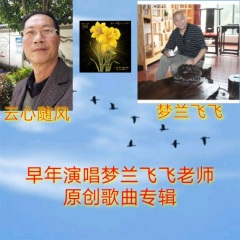 夜深深飞起来伴奏 (伴奏)