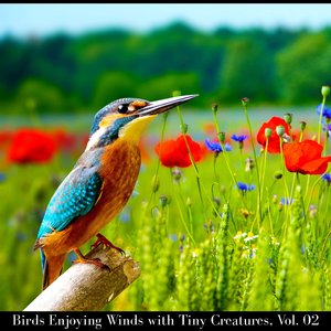 Splashy Water Tickle