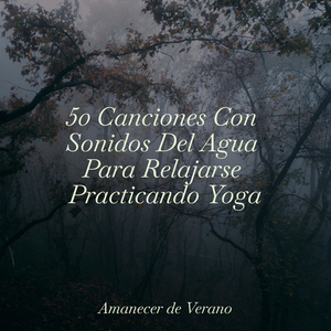 Ecos de Profundidades Inexploradas