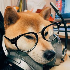 是我爱死了昨天（DJ版）