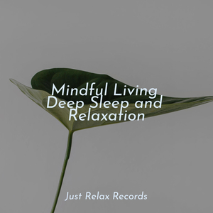 Rain kissed Reminiscence