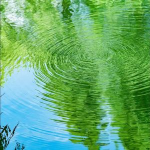 海边旅行的悠然之音