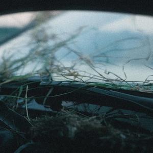 Levej pruh (feat. Don Pacifik)