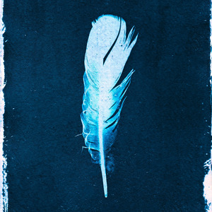 太宰府天満宮 (福岡県)