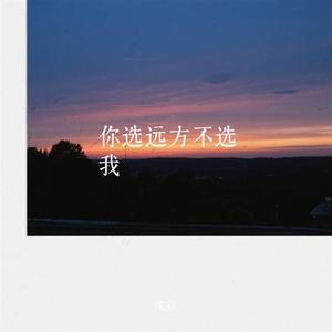 你选远方不选我