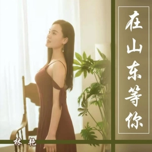 想你的情歌 (DJ何鹏版)