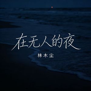 在无人的夜