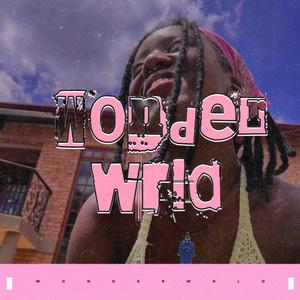 Wonder Wrld 27