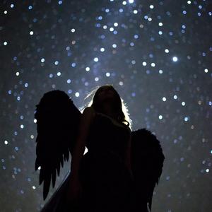 夜の向こうへ