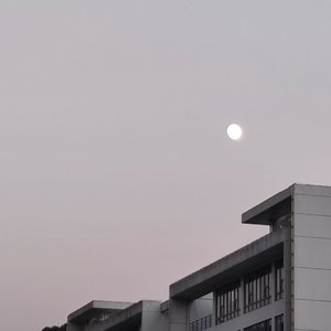 多想在平庸的世界拥抱你