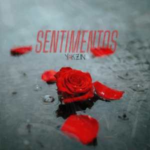 Sentimentos