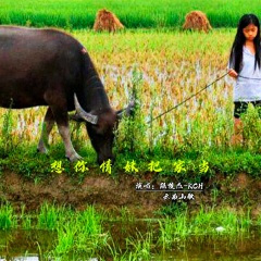 想你情妹把家当 (合唱版)(Live)