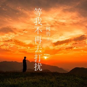 等我不再去打扰